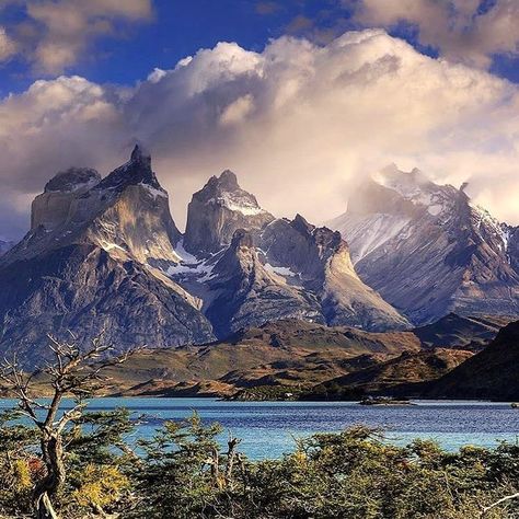 Nature, Huge Mountains, Chilean Patagonia, Delta Green, Place To Travel, Mountain Pictures, Temperate Rainforest, Andes Mountains, Travel Tops