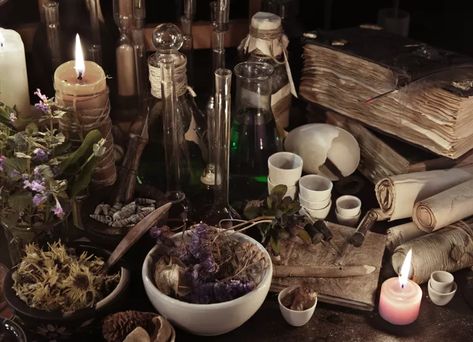 Using Animal Parts in Pagan and Wiccan Rituals Four Thieves Vinegar, Witch Kit, Ritual Magic, Witch Herbs, Witchcraft Books, Occult Books, Fotografi Digital, Magical Herbs, Witchcraft Supplies