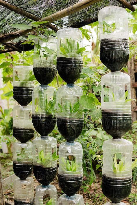 How To Reuse Plastic Bottles For Gardening - Engineering Discoveries Uses For Plastic Bottles, Garden Ideas With Plastic Bottles, Reuse Bottles, Plastic Bottle Planter, Recycle Water Bottles, Plants In Bottles, Reuse Plastic Bottles, Plastic Bottle Flowers, Vertical Garden Diy