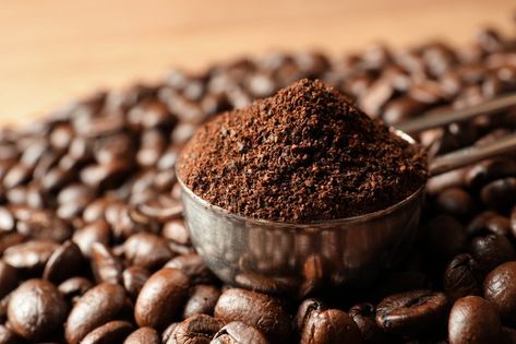 Before you discard your used coffee grounds, discover how to use them in the garden, the kitchen, or as part of your beauty routine (or all of the above). Best Milk Alternative, Coffee Basket, Percolator Coffee Pot, Coffee Body Scrub, Vintage Coffee Pot, Make Coffee, Uses For Coffee Grounds, Coffee Fashion, Healthy Lifestyle Habits