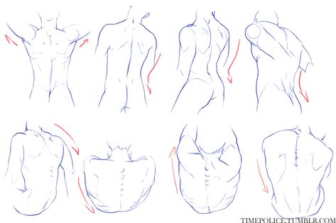 Drawing Faces, Male Torso Anatomy, Male Body Drawing, Anatomy Tutorial, Body Sketches, 남자 몸, Male Torso, Human Figure Drawing, Hand Reference