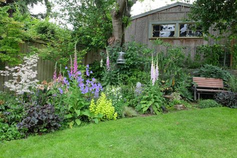 Beach Garden Design, Pacific Northwest Flowers, Pnw Garden, Pacific Northwest Garden, Native Plant Landscape, Northwest Garden, Northwest Landscaping, Shade Garden Design, Native Plant Gardening