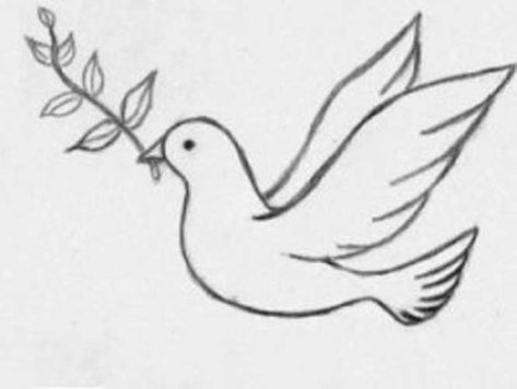 Dove Bird Drawings, Dove Pencil Drawing, Drawing A Bird Easy, How To Draw Dove, Easy Dove Drawing, Dove Painting Easy, How To Draw A Dove Step By Step, Simple Dove Drawing, How To Draw A Dove