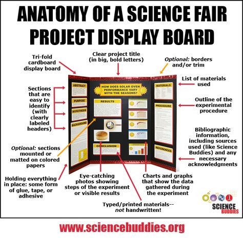 Putting Together a Project Display Board | Science Buddies Blog High School Science Projects, Science Fair Display Board, High School Science Fair, Science Project Board, Project Display Boards, Kids Science Fair Projects, Science Fair Board, Science Fair Experiments, Science Fair Projects Boards