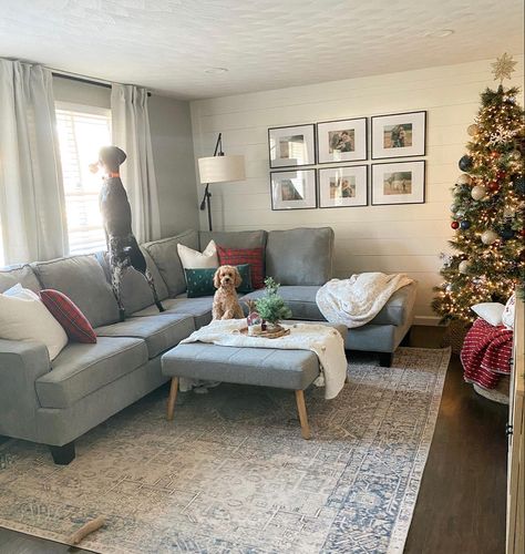 Sectional Decor, Christmas Decor Cozy, Old High School, Gray Couch, Grey Couch, Gray Sectional, Grey Couch Living Room, Christmas Living Room, Transitional Home Decor