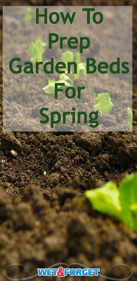 As the temperature slowly begins to rise, it's time to prep your gardens for the spring! Check out our quick tips and tricks for preparing your garden beds for this spring season. Garden Prepping, Vegetable Garden Raised Beds, Spring Plants, Creative Gardening, Garden Landscape Design, Garden Pests, Garden Soil, Garden Bed, Veggie Garden