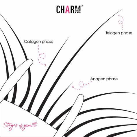 Your eyelashes play a crucial role in framing your eyes and enhancing your overall beauty. If you’ve experienced eyelash loss and are wondering about regrowth, you’re in the right place.

In this comprehensive guide, we’ll delve into all aspects of eyelash regrowth, from understanding the natural growth cycle to practical tips and tricks for encouraging those lush lashes to make a comeback. Eyelashes, Encouragement, Lashes, Break Out, Eyelash Extensions, Your Eyes, Tips And Tricks, Lush, Need To Know