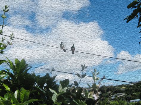 Birds on a wire Nature, Bird On Wire Painting, Birds On A Telephone Wire, 2 Birds On A Wire, Birds On A Wire Painting, Two Birds On A Wire, Bird On Wire, Birds On A Wire, Dark Nature