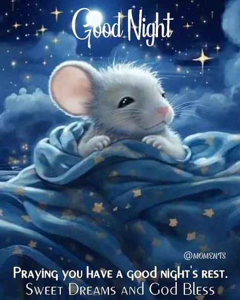 Sleepy Mouse - Good Night quotes night morning nights days good night images good night blessings good night picture quotes good night 2024 quotes good night blessings 2024 Good Night Pictures, Good Night To You, Good Night Funny, Emoji Love, Cute Good Night, Slaap Lekker, Good Night Friends, Good Night Gif, Good Night Blessings