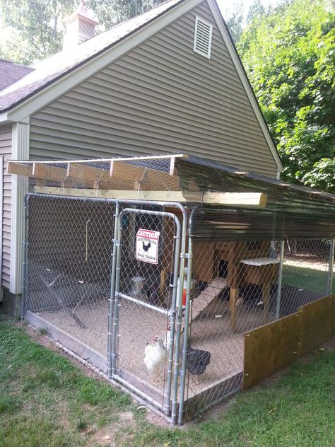 chain link dog run roofing ideas and suggestions | BackYard Chickens - Learn How to Raise Chickens Diy Dog Pen, Dog Kennel Roof, Chain Link Dog Kennel, Portable Dog Kennels, Building A Dog Kennel, Dog Run, Portable Chicken Coop, Diy Dog Kennel, Best Chicken Coop