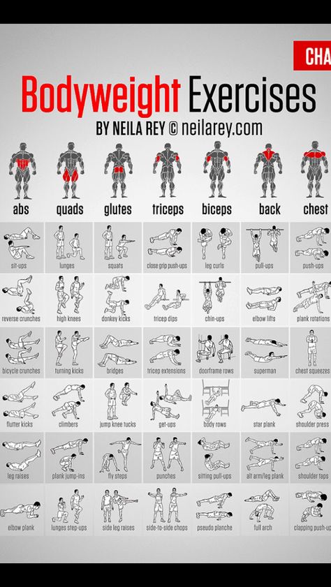 Gym Bodyweight Workouts, Calisthenics Workout Back, Workout Chart For Beginners, Mma Workout At Home, Men’s Home Workout, Gym Workout For Men Beginner, Workout Bodyweight Men, Calisthenics Workout Chart, Calisthenic Body Men