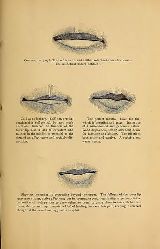 Illustrated physiognomy .. | by ElusiveMu.se Mean Resting Face, Face Reading Psychology, Palm Reading Lines, Chinese Face Reading, Psychology Wallpaper, Cold Reading, Palmistry Reading, Reading Body Language, Trust People