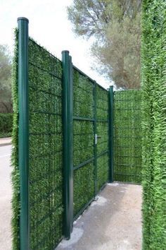 Reka Bentuk Landskap, Cheap Privacy Fence, Oasis Backyard, Taman Diy, Green Fence, Privacy Fence Designs, نباتات منزلية, Garden Privacy, Backyard Privacy