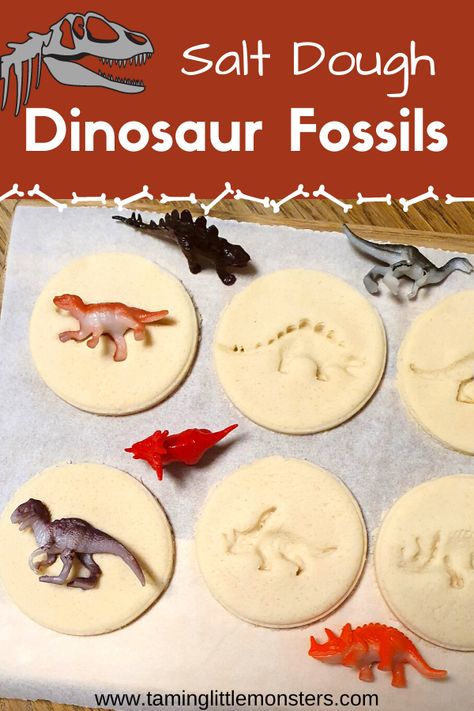 No Bake Salt Dough Recipe, Dinosaur Stem, Dinosaur Egg Fossil, Diy Fossils, Dinosaur Snacks, Fossils Activities, How To Make Salt Dough, Dinosaur Activities Preschool, Salt Dough Crafts