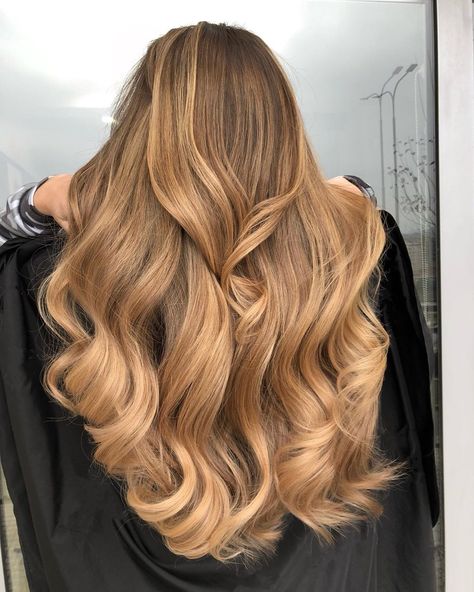 Light Golden Brown Hair Color: What It Looks Like & 17 Trendy Ideas Light Golden Brown Hair Color, Caramel Blonde Hair Color, Light Golden Brown Hair, Membentuk Alis, Caramel Blonde Hair, Golden Brown Hair Color, Golden Brown Hair, Honey Hair Color, Honey Brown Hair