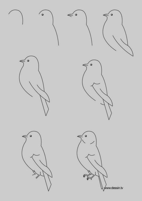 40 Easy Step By Step Art Drawings To Practice - Bored Art Drawing Techniques, Trin For Trin Tegning, 심플한 그림, Art How, Bird Drawings, Drawing Lessons, Drawing Challenge, Step By Step Drawing, Drawing For Kids
