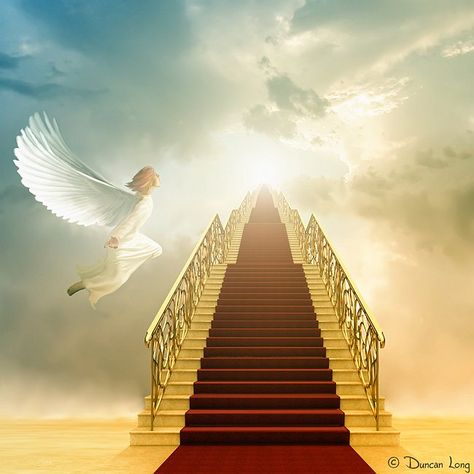 †MIGHTY WARRIOR BLOG † THE POWER OF PRAYER: Open Door of Communion Heaven Images, Heaven Pictures, Heaven Wallpaper, Art Visionnaire, Stairs To Heaven, Heaven's Gate, Heaven Art, Way To Heaven, Ayat Alkitab