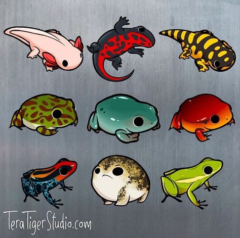 Salamanders, Grey Tree Frog, Tomato Frog, Horned Toad, Tiger Salamander, Rain Frog, Reptile Room, Logo Animal, Frog Drawing