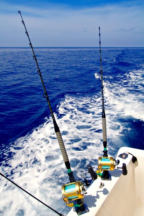 Fishing rods in holders on side of fishing boat for Gulf Coast fishing blog Mobile Screen Wallpaper, Ice Fishing Gear, White Marlin, Under Moonlight, Photos Of Fish, Bottom Fishing, Northwest Florida, Spring Breakers, Gulf Coast Florida