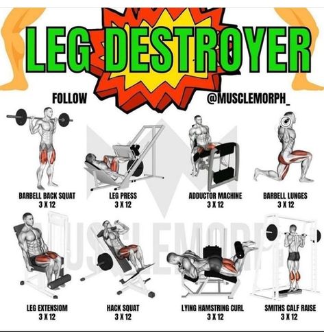 Leg Shoulder Workout, Dumbbell Bicep Workout, Muscle Workouts, Leg Workouts For Men, Superset Workout, Hero Workouts, Crossfit Workouts Wod, Leg Workouts Gym, Boxing Techniques