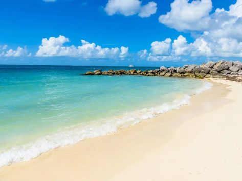 8 Best Beaches in Key West, Florida for ... Florida Keys Hotels, Florida Keys Travel, Florida Keys Resorts, Florida Keys Road Trip, Florida Keys Beaches, Key West Beaches, Key West Hotels, Dry Tortugas National Park, Cape Cod Beaches