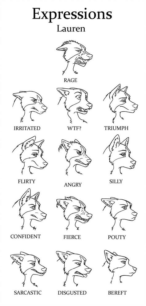 Lauren Expressions by daughterofthestars Anthro Expression Reference, Animal Expressions Drawing, Animal Drawing Tips, Wolf Expressions, Wolf Drawing Reference, Cartoon Wolf Drawing, Cool Wolf Drawings, How To Draw Wolf, Drawing Wolves