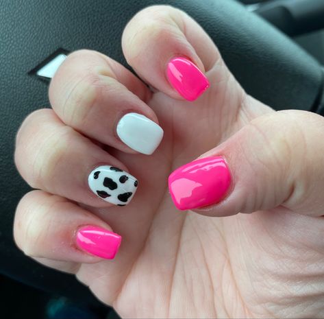 Pink And Cow Print Outfit, Cow Print Hot Pink Nails, Cow Theme Nails Pink, Cute Short Nails Cow Print, Ideas For Dipped Nails, Hot Pink Nails Cow Print, Rodeo Nails Westerns Pink, Pink With Cow Print Nails, Hot Pink Cowprint Nails