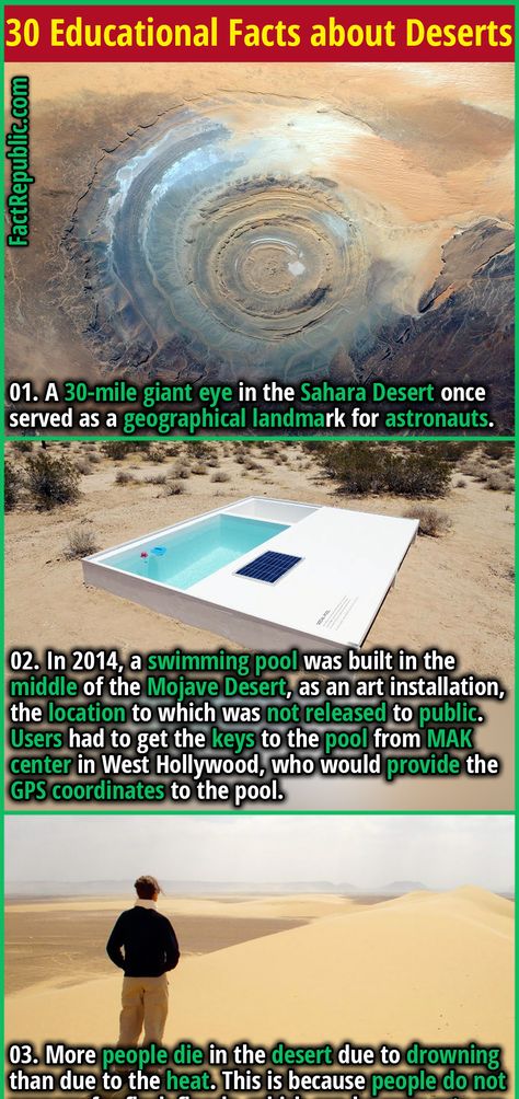 30 Educational Facts about Deserts - Fact Republic Nature, Environment Science, Educational Facts, Random Knowledge, Fact Republic, Curious Facts, Interesting Facts About World, Creepy Facts, Desert Travel