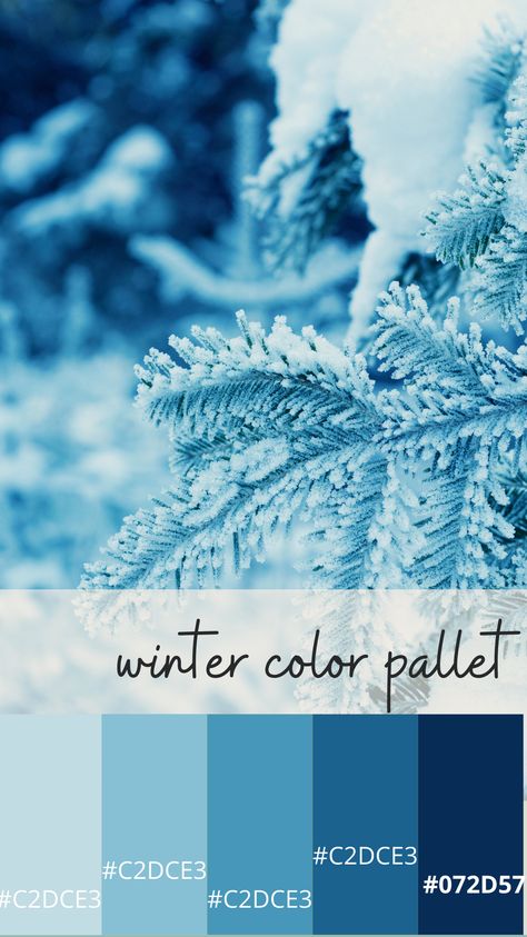 Snow Pallette, Winter Blue Palette, Blue Winter Color Palette, Winter Wonderland Color Scheme, Snowy Color Palette, Winter Blue Color Palette, Blue Christmas Color Palette, Winter Wonderland Color Palette, Snow Aesthetic Blue