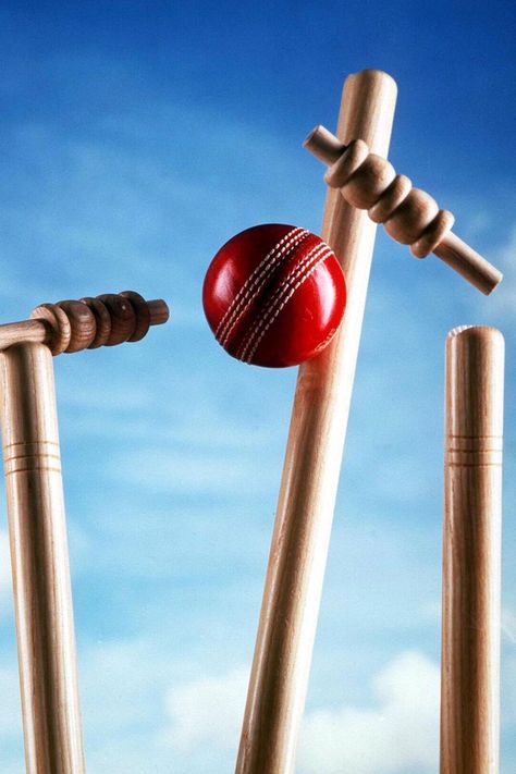 Cricket Rules, Cricket Stumps, Cricket Stump, Cricket Logo, Cricket Ball, Cricket Wicket, Cricket Balls, Icc Cricket, Cricket Bat