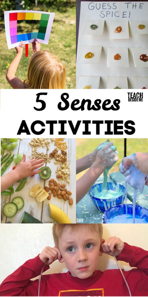 Teach kids about their five senses with these sensory activities for kids! Sight, sound, touch, taste, smell #science #fivesenses #sensory #preschoolscience #preschool #5senses Five Senses Experiment, Five Senses Activity For Preschoolers, Five Senses Science Experiments, 5 Senses Touch Activities, Senses Activities Ks1, Sight Preschool Activities Sense Of, Five Senses Experiments For Kids, Sense Of Touch Preschool Activities, Smell Activity For Preschool