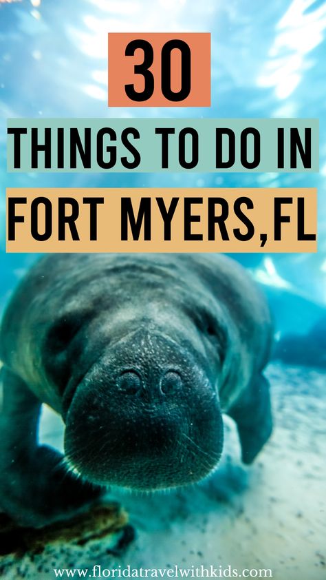 What To Do In Fort Myers Florida, Ft Meyers Florida Things To Do Fort Myers Beach, What To Do In Naples Florida, Things To Do In Fort Myers Florida, Southwest Florida Things To Do In, Things To Do In Cape Coral Florida, Ft Myers Beach Florida, Ft Myers Florida Things To Do, Fort Myers Florida Things To Do In