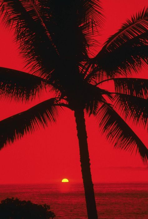 Red Tropical Aesthetic, Beach Red Aesthetic, Red Ocean Aesthetic, Red Beach Aesthetic, Red Summer Wallpaper, Red Sunset Wallpaper, Summer Red Aesthetic, Red Sunset Aesthetic, Red Summer Aesthetic