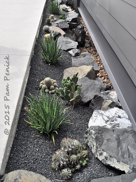 Gravel Landscaping, Dry Garden, Gravel Garden, Rock Garden Landscaping, Outdoor Gardens Design, Garden Pathway, Home Landscaping, Front Yard Garden, Front Yard Landscaping Design