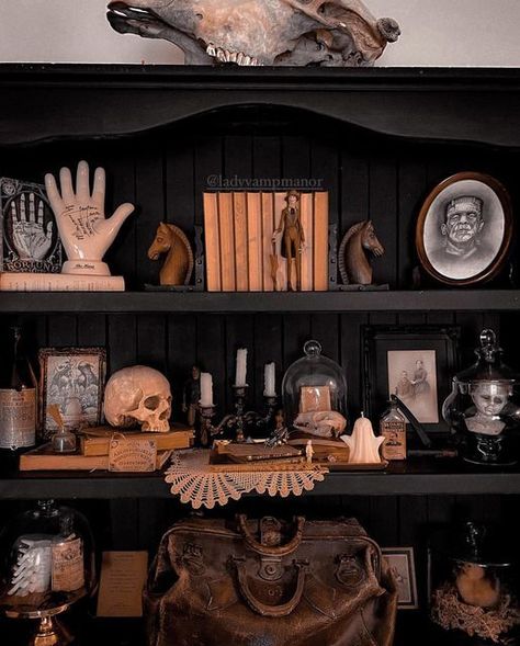 Gothic Apothecary Decor, Spooky Apothecary Display, Goth Bookshelf Decor, Apothecary Cabinet Halloween, Gothic Bookshelf Decor, Apothecary Aesthetic Bedroom, Halloween Curio Cabinet, Halloween Decorations Shelves, Apothecary Cabinet Decor