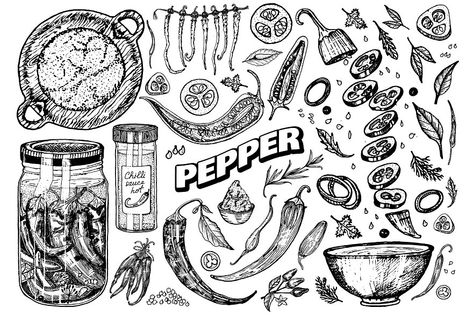 Red hot chili peppers in vintage style. Salad ingredients. Farm vegetable. Vector illustration. Hand drawn engraved retro sketch. Doodle style Chili Drawing Illustration, Hot Pepper Drawing, Chilli Sketch, Chili Pepper Drawing, Tattoo Beetle, Chili Pepper Tattoo, Ingredients Illustration, Coco Bar, Wood Artwork