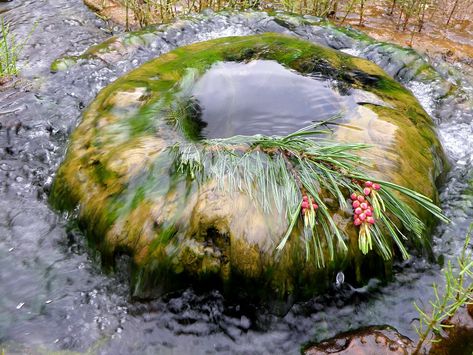 Nature, Water Spring, Ancient Ireland, County Galway, Irish Language, Irish Landscape, Well Water, Sacred Tree, Cliffs Of Moher