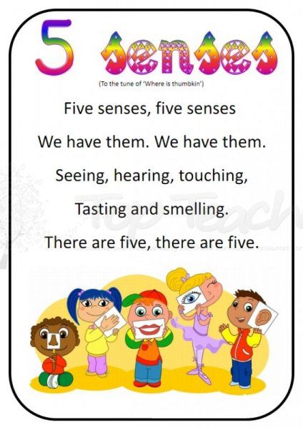 5 senses printable song. To fit tune...1st line our 5 senses, our 5 senses... 5 Senses Crafts Preschool, 5 Senses Preschool, Five Senses Preschool, 5 Senses Activities, Senses Preschool, My Five Senses, Doodle Bugs, Kindergarten Songs, Classroom Songs
