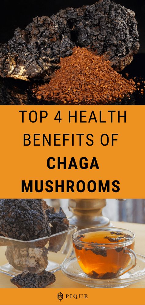 Chaga Benefits, Chaga Mushroom Benefits, Medicinal Recipes, Chaga Mushroom Tea, Chaga Tea, Health Benefits Of Mushrooms, King Oyster, Mushroom Benefits, Zen Life