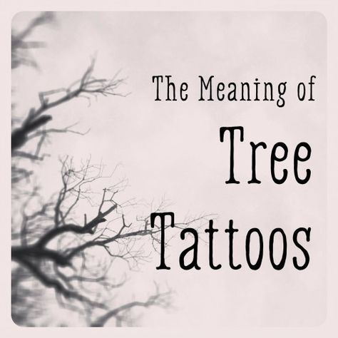 Tattoo Of Tree Of Life, Small Tree Tattoos For Women, Tree Of Life Tattoo For Women, Tree Tatto, Tatoo Tree, Tattoos Meaning Strength, Small Nature Tattoo, Tree Meanings, Tree Tat