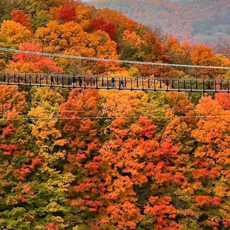 Boyne Mountain Resort, Boyne Mountain, Sky Bridge, Small Town Romance, Beach Books, Beachfront Condo, Autumn Scenery, Quiet Area, Fall Is Here