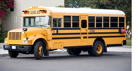 The American School Bus is Yellow – Here’s Why Bus Images, School Bus Camper, Bus City, Bus Art, Yellow School Bus, Free Images To Use, American School, School Bus Driver, Bus Camper