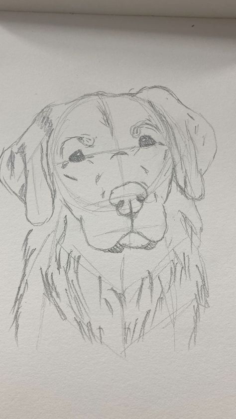 Realistic Drawings Dog, Sketch Of Golden Retriever, Horse Drawings Simple, Cool Drawings Of Animals, Dog Snout Drawing Reference, Sketchbook Sketch Ideas, Golden Retriever Simple Drawing, Realistic Pencil Drawings Easy, Golden Retriever Doodle Drawing