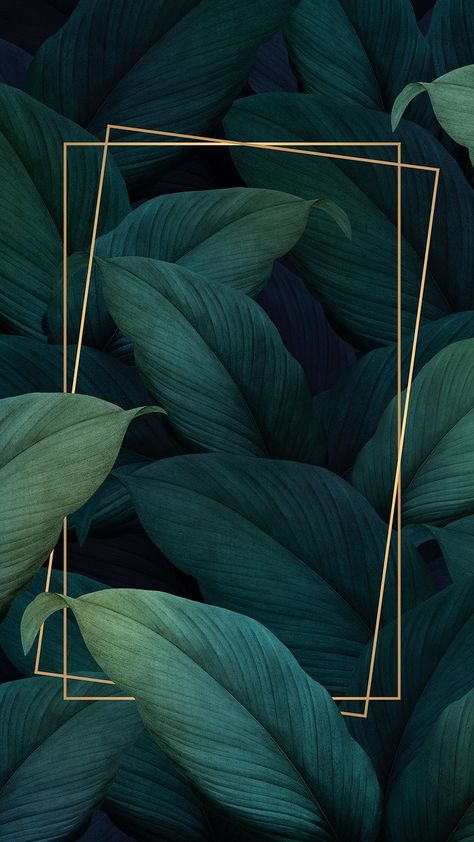 Green tropical leaves patterned poster | premium image by rawpixel.com / Benjamas Iphone Wallpaper Blue, Minimalist Iphone Wallpaper, Background Plain, Background Minimalist, Background Psd, Plain Background, Minimalist Iphone, Plain Wallpaper, Blue Frame