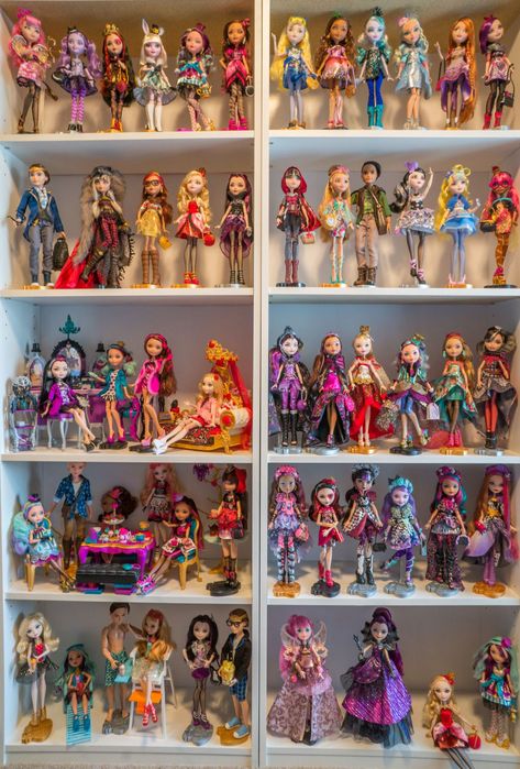 14 Crazy Collections That Will Make Your Inner Child Completely Jealous Monster High Display, Enchanted Picnic, Week Planer, Doll Storage, Lego Head, Ever After Dolls, Nostalgic Toys, Doll Display, Doll Collection