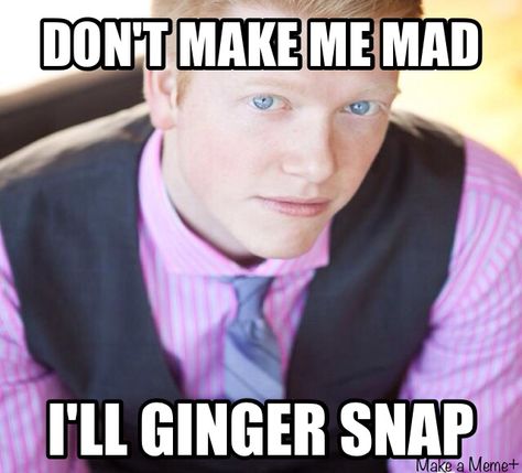 #gingerjokes #ginger Ginger Meme, Ginger Quotes, Ginger Jokes, Ginger Humor, Goofy Ahh, Ginger Snaps, Ginger Ale, 4 Life, Worth Reading