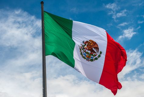 Mexican Colors, Flag Template, Mexican Flags, Mexico Culture, Mexico Flag, रोचक तथ्य, Tulum Mexico, Mexican Culture, Flags Of The World