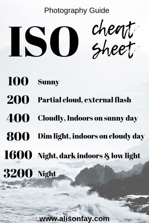 Learn how to control your camera's ISO with this free cheat sheet. #travelphotography #photographyguides #phototips #cheatsheet #photoguides #photography Sony Camera Lens Guide, Iphone Photography Cheat Sheets, How To Use Canon Camera, Nikon D3500 Photography, Kodak Pixpro Az528 Tips, How To Photography, How To Use A Camera, Lumix G7 Photography, Sony Camera Settings