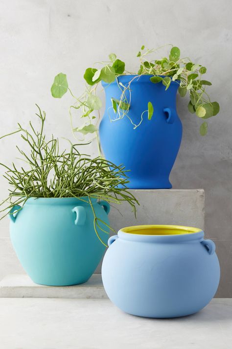 Pierre Color-Contrast Pot Upcycling, Gardening Pots, Plant Pot Design, Plant Pot Diy, Pottery Pots, Painted Pots Diy, Paint Your Own Pottery, Cape House, Flower Pots Outdoor