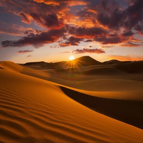 How To Visit The Sahara Desert - TravelAwaits Tangier, Desert Landscape Painting, Lukisan Lanskap, Desert Sahara, Desert Tour, Pismo Beach, Desert Painting, Sahara Desert, Sunset Canvas